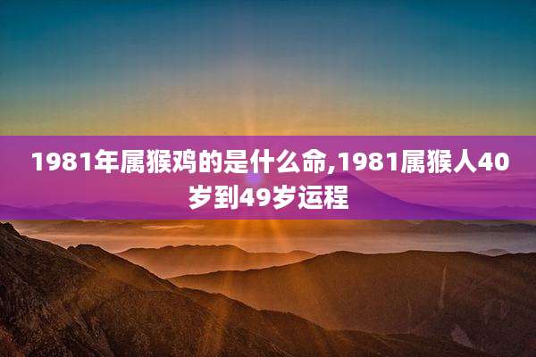 1981年属猴鸡的是什么命,1981属猴人40岁到49岁运程