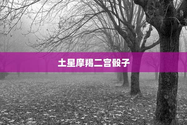 土星摩羯二宫骰子
