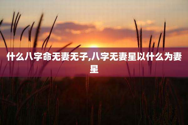 什么八字命无妻无子,八字无妻星以什么为妻星
