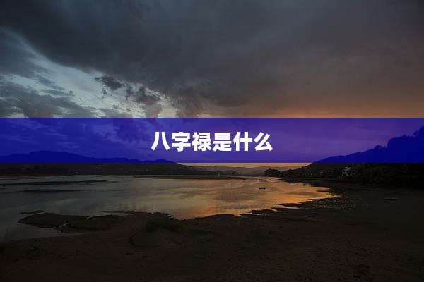 八字禄是什么