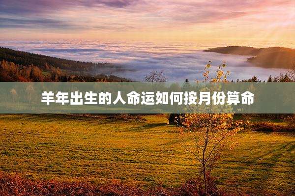 羊年出生的人命运如何按月份算命