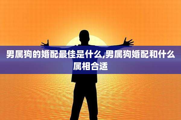 男属狗的婚配最佳是什么,男属狗婚配和什么属相合适