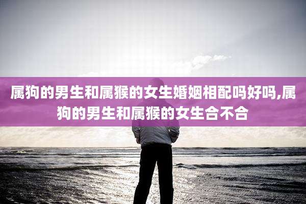 属狗的男生和属猴的女生婚姻相配吗好吗,属狗的男生和属猴的女生合不合