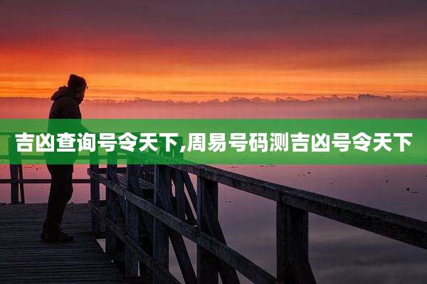 吉凶查询号令天下,周易号码测吉凶号令天下