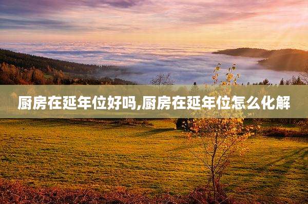 厨房在延年位好吗,厨房在延年位怎么化解