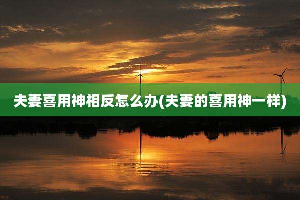 夫妻喜用神相反怎么办(夫妻的喜用神一样)