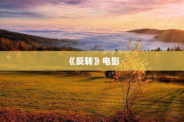 《反转》电影