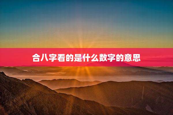 合八字看的是什么数字的意思