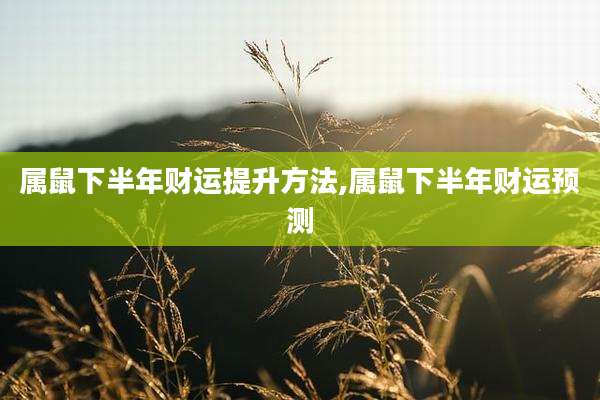 属鼠下半年财运提升方法,属鼠下半年财运预测