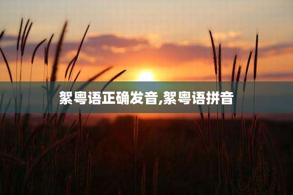 絮粤语正确发音,絮粤语拼音