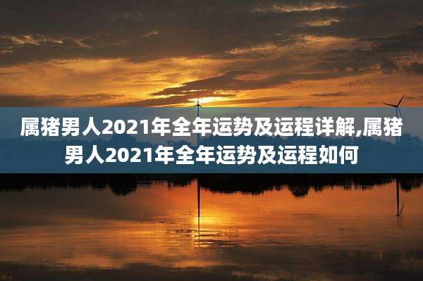 属猪男人2021年全年运势及运程详解,属猪男人2021年全年运势及运程如何