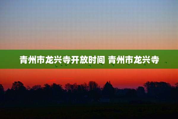 青州市龙兴寺开放时间 青州市龙兴寺