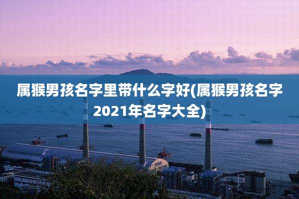 属猴男孩名字里带什么字好(属猴男孩名字2021年名字大全)