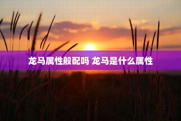 龙马属性般配吗 龙马是什么属性
