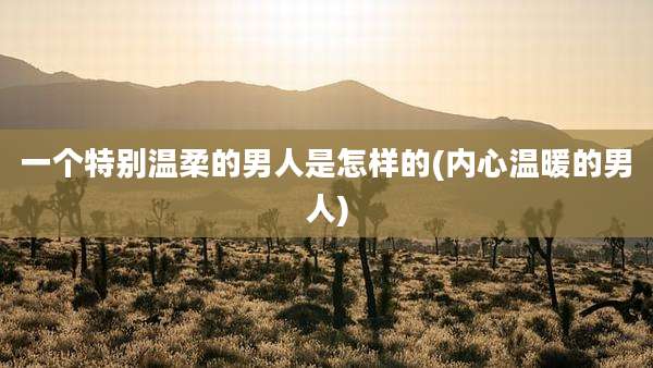 一个特别温柔的男人是怎样的(内心温暖的男人)
