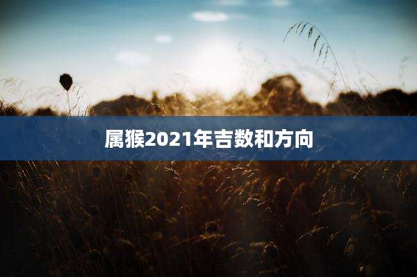 属猴2021年吉数和方向