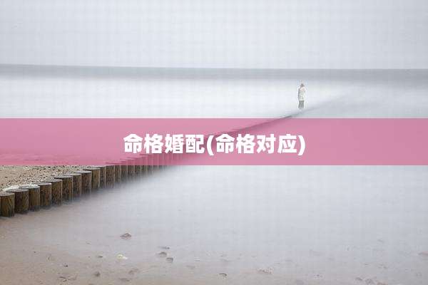 命格婚配(命格对应)