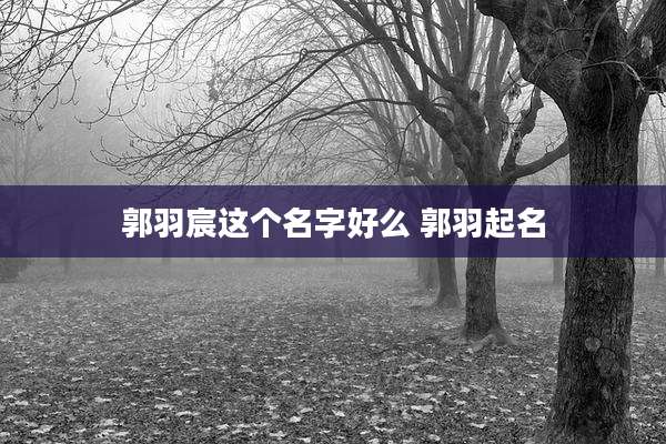 郭羽宸这个名字好么 郭羽起名