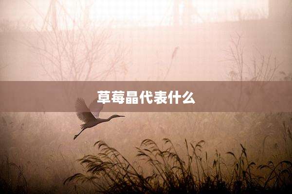 草莓晶代表什么