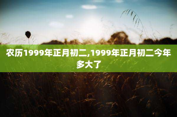 农历1999年正月初二,1999年正月初二今年多大了