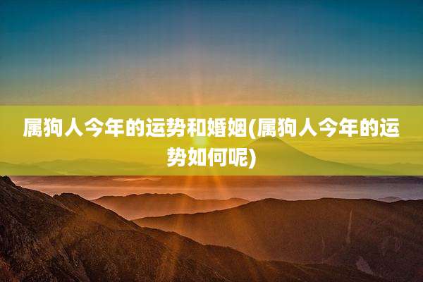 属狗人今年的运势和婚姻(属狗人今年的运势如何呢)
