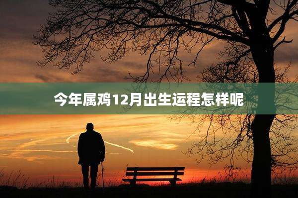 今年属鸡12月出生运程怎样呢