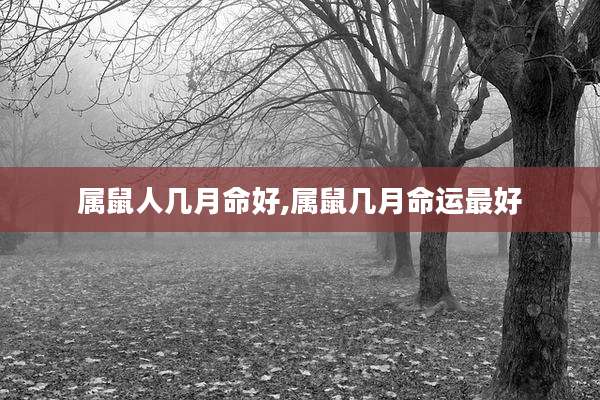 属鼠人几月命好,属鼠几月命运最好