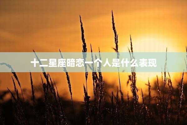 十二星座暗恋一个人是什么表现