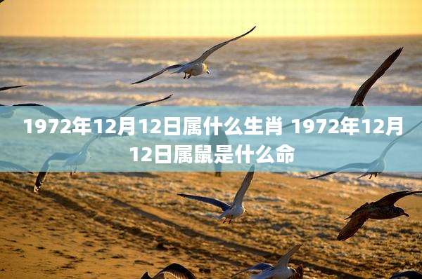 1972年12月12日属什么生肖 1972年12月12日属鼠是什么命