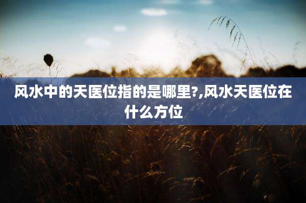 风水中的天医位指的是哪里?,风水天医位在什么方位