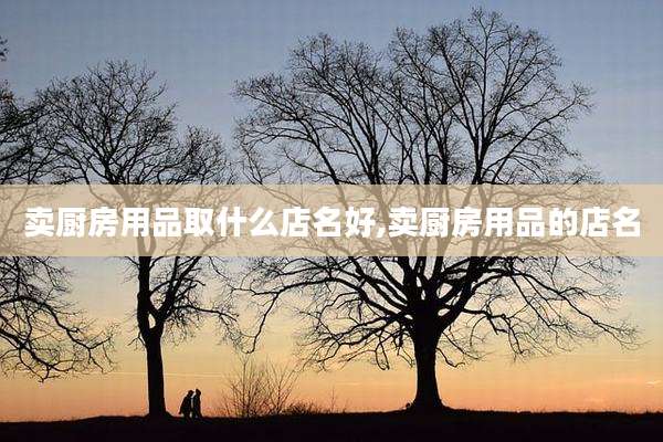 卖厨房用品取什么店名好,卖厨房用品的店名