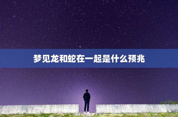 梦见龙和蛇在一起是什么预兆