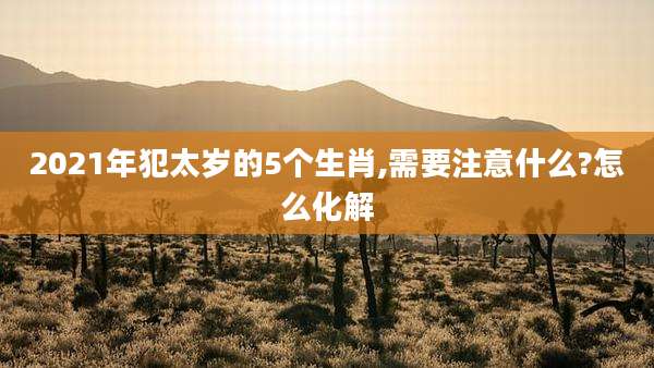 2021年犯太岁的5个生肖,需要注意什么?怎么化解