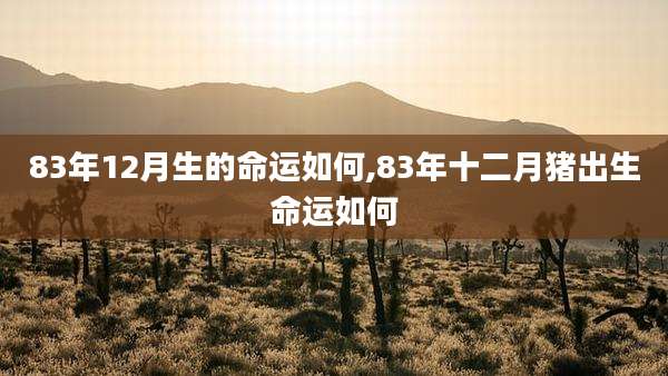 83年12月生的命运如何,83年十二月猪出生命运如何