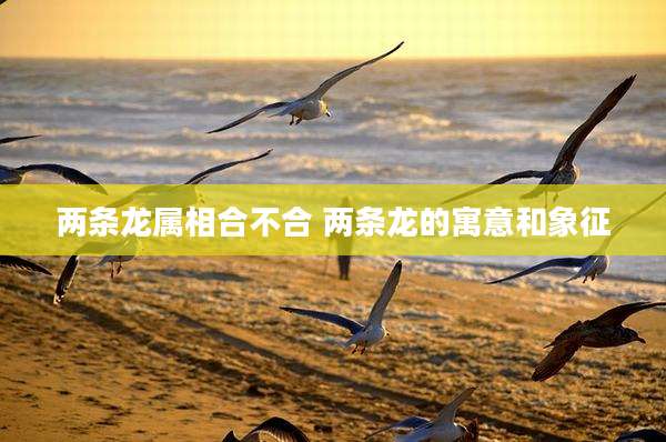 两条龙属相合不合 两条龙的寓意和象征