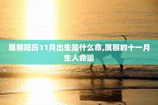 属猴阳历11月出生是什么命,属猴的十一月生人命运
