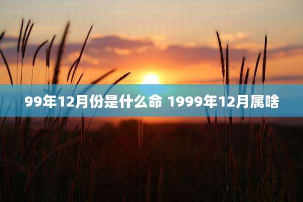 99年12月份是什么命 1999年12月属啥