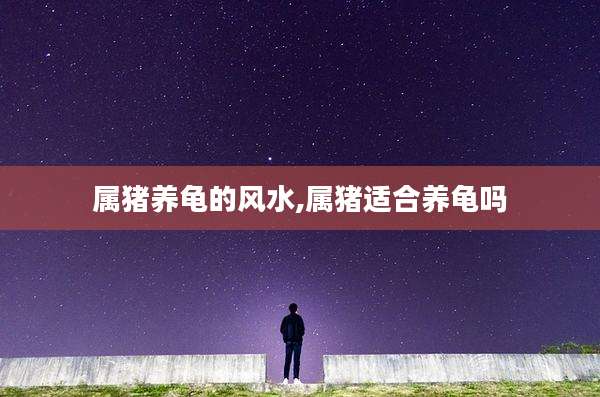 属猪养龟的风水,属猪适合养龟吗