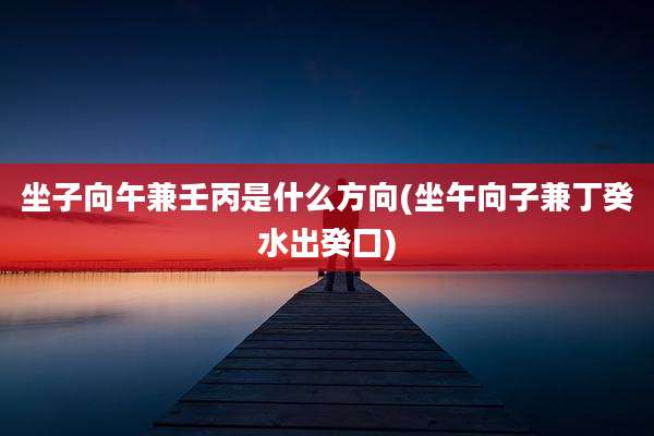 坐子向午兼壬丙是什么方向(坐午向子兼丁癸水出癸囗)