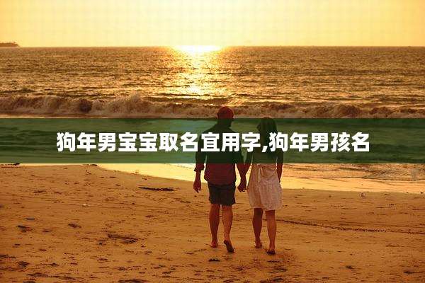 狗年男宝宝取名宜用字,狗年男孩名