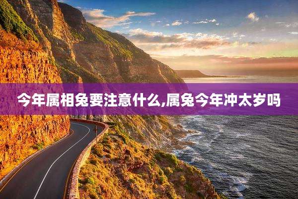 今年属相兔要注意什么,属兔今年冲太岁吗