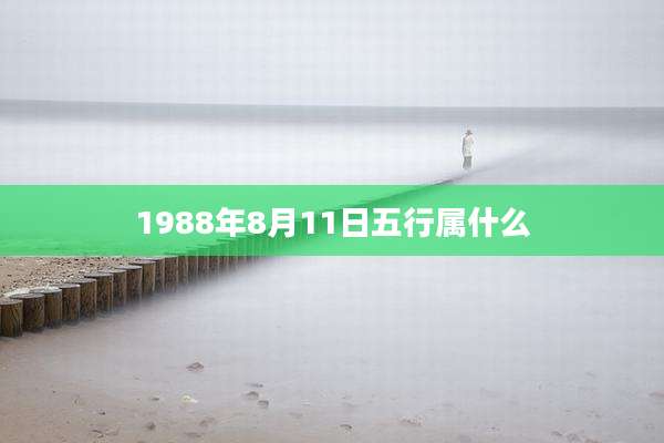 1988年8月11日五行属什么