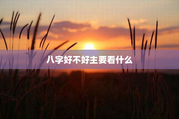 八字好不好主要看什么