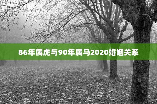 86年属虎与90年属马2020婚姻关系
