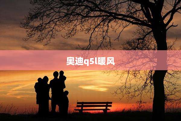 奥迪q5l暖风
