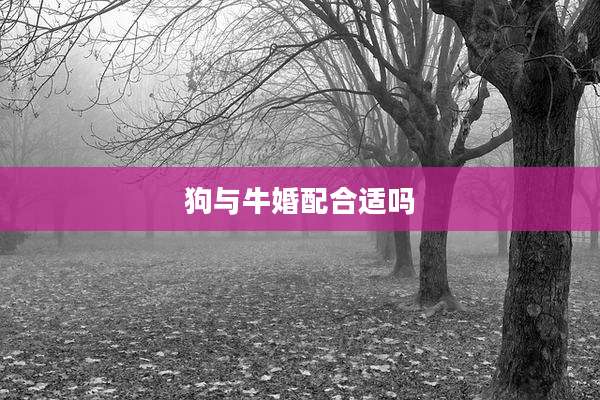 狗与牛婚配合适吗