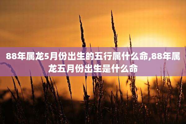 88年属龙5月份出生的五行属什么命,88年属龙五月份出生是什么命