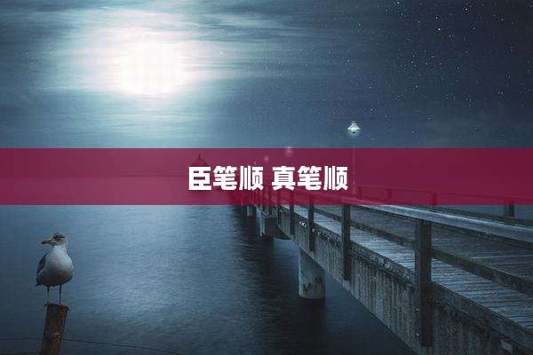 臣笔顺 真笔顺