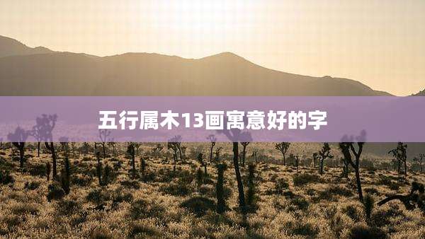 五行属木13画寓意好的字