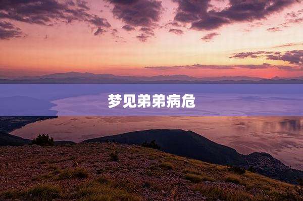 梦见弟弟病危